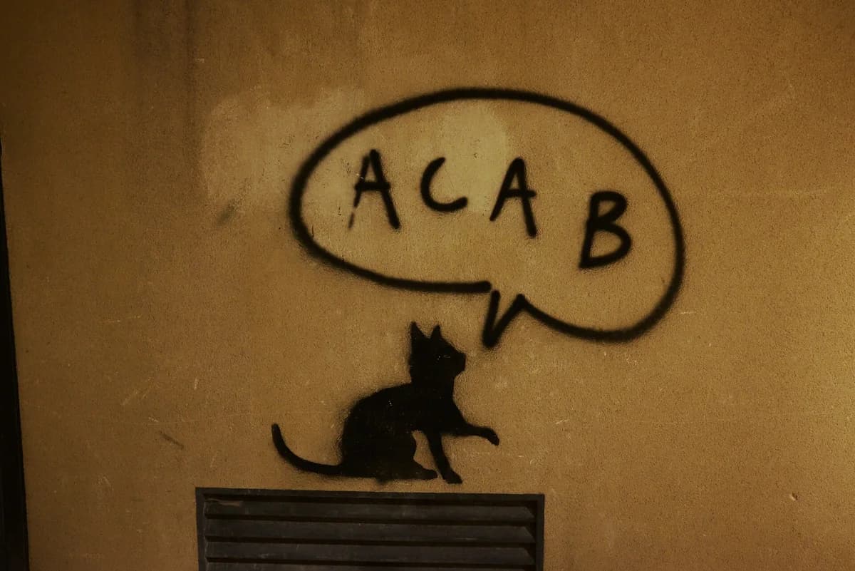 Silueta de un gato junto a un bocadillo con las letras ACAB en una pared de Tarragona